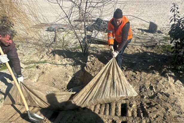 Mai multe fose septice au fost gasite ingropate pe plajele din Navodari si Margona Diana Buzoianu