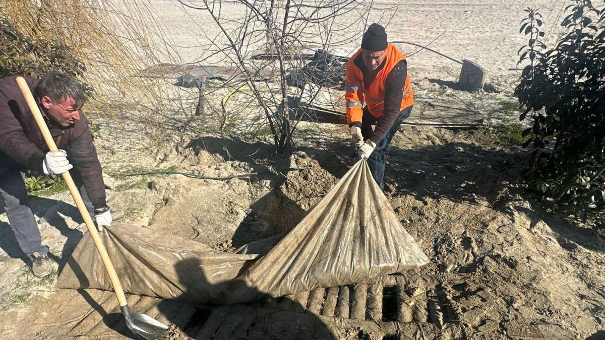 Mai multe fose septice au fost gasite ingropate pe plajele din Navodari si Margona Diana Buzoianu