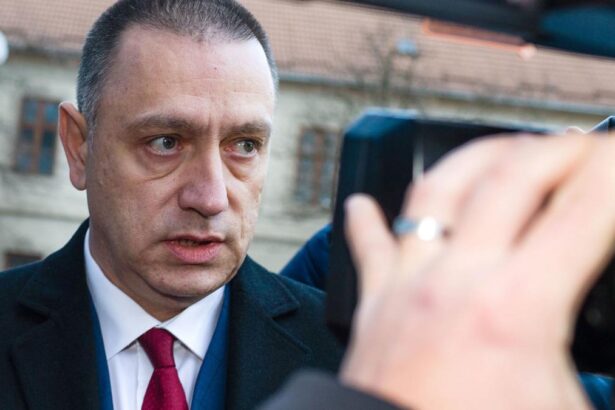 Mihai Fifor Scrisoarea Guvernului catre presedinta CCR reprezinta o presiune politica