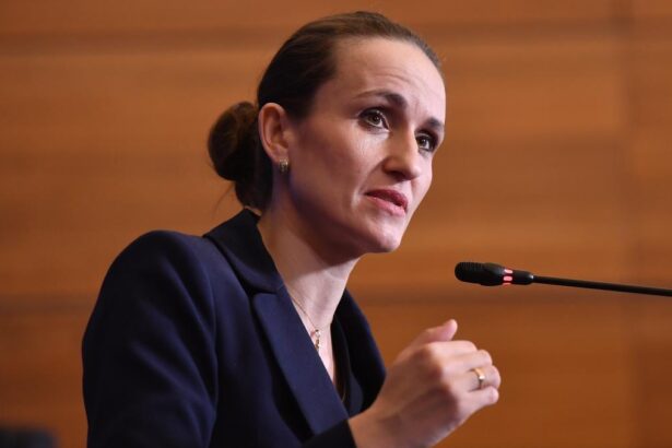 Ministrul Afaceri Externe si consulul din Dubai au fost chemai la audieri in Parlament in