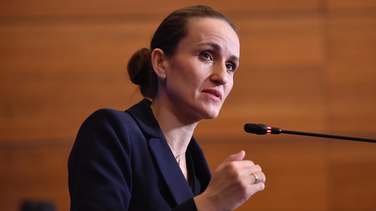 Ministrul Afaceri Externe si consulul din Dubai au fost chemai la audieri in Parlament in