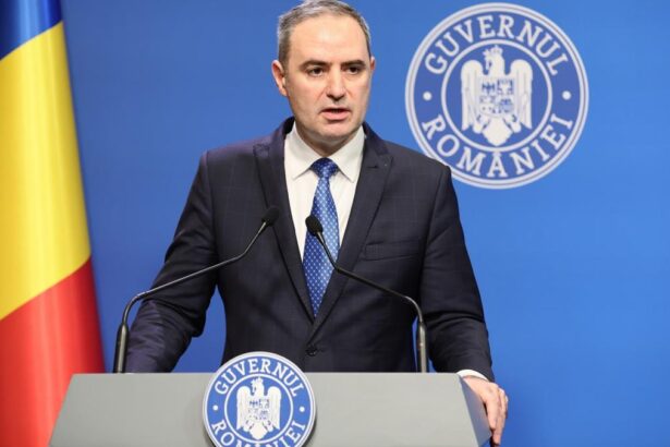 Ministrul Finantelor Aderarea la OCDE asigura eficienta functionarii institutiilor