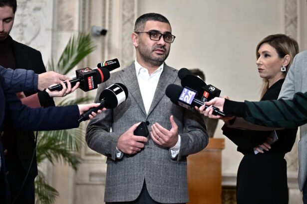 Ministrul Muncii Florin Manole Pachetul de solidaritate nu este prevazut in proiectul de buget