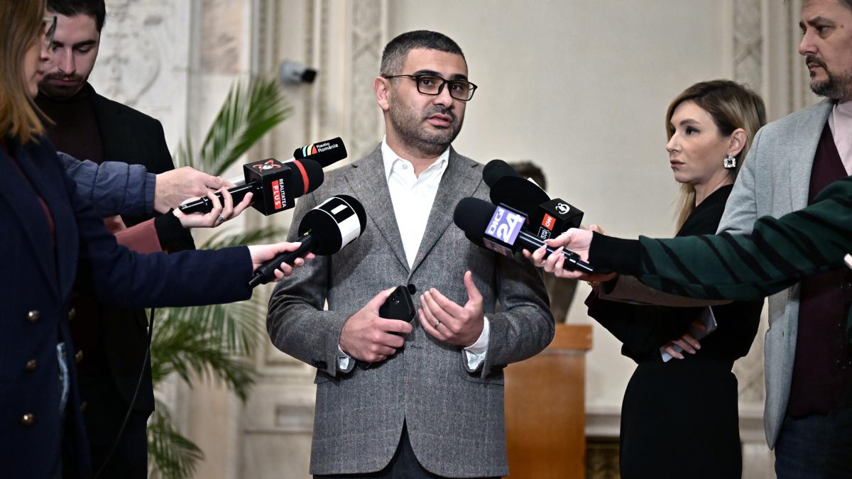Ministrul Muncii Florin Manole Pachetul de solidaritate nu este prevazut in proiectul de buget