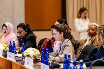 Mirabela Grdinaru vizita la American Councils Discutii despre programele comune intre SUA si Romania dedicate
