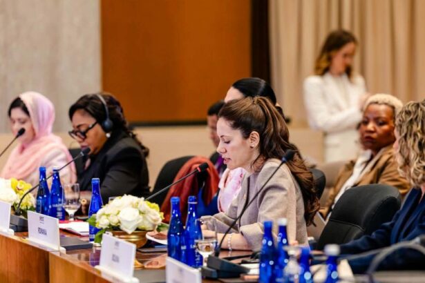 Mirabela Grdinaru vizita la American Councils Discutii despre programele comune intre SUA si Romania dedicate