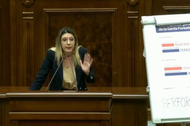 Mot iunea simpla impotriva Dianei Buzoianu a fost respinsa PSD nu a votat iar Bolojan a lipsit Schimb de replici
