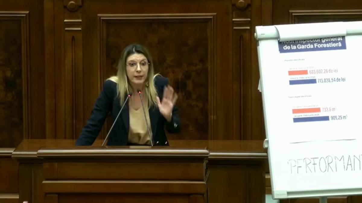 Mot iunea simpla impotriva Dianei Buzoianu a fost respinsa PSD nu a votat iar Bolojan a lipsit Schimb de replici