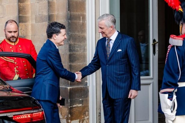 Nicuser Dan a fost recept la Bruxelles de Regele Belgiei Ce au discutat cei doi