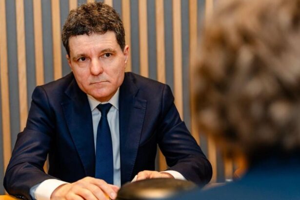 Nicushor Dan intalniri cu Oana Gheorghiu la Bruxelles Acest an este crucial