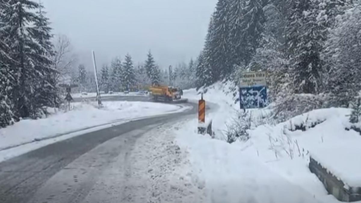 Ninsori intense in mai multe judete ale tarii Elena Mateescu anunta cand se va imbuna vremea