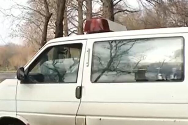 O femeie a fost gasita inecata in lacul Herastrau Ipotezele anchetatorilor dupa descoperirea corpului