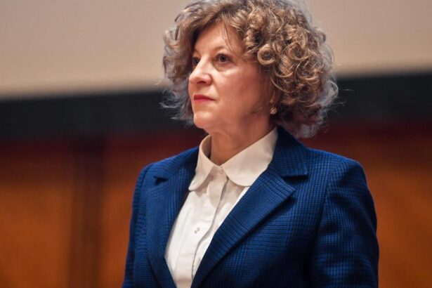 Oana Gheorghiu Romania nu este inca un lider in digitalizare Cloudul guvernamental va inlocui sistemele IT