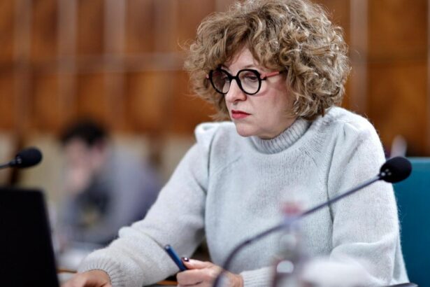 Oana Gheorghiu ii atrage atentia celor care nu vor implementa reforme si nu vor avea rezultate in