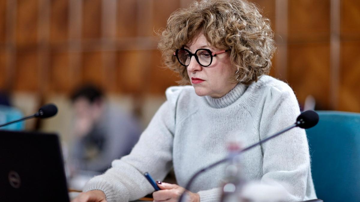 Oana Gheorghiu ii atrage atentia celor care nu vor implementa reforme si nu vor avea rezultate in