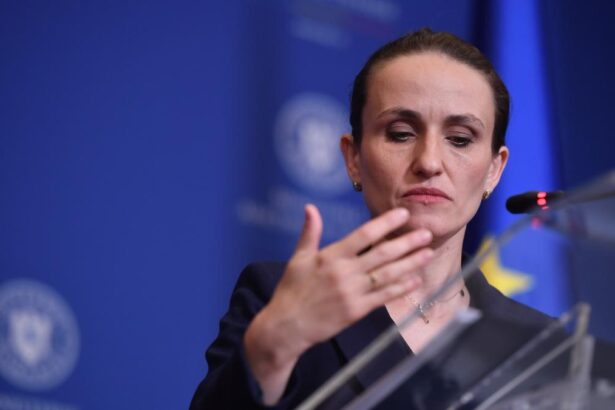 Oana Toiu revine cu detalii Consulul din Dubai a fost cel care i a adus la cunostinta cazul special al