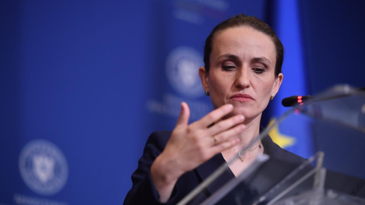 Oana Toiu revine cu detalii Consulul din Dubai a fost cel care i a adus la cunostinta cazul special al