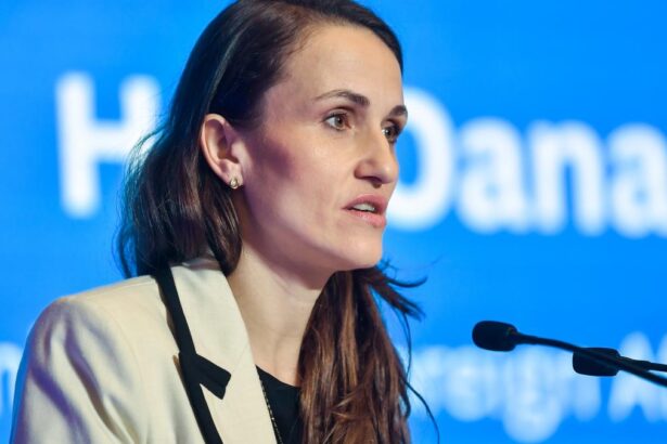 Oana Toiu subliniaza importanta bugetului pentru 2027 Va trebui sa l aprobam din toamna