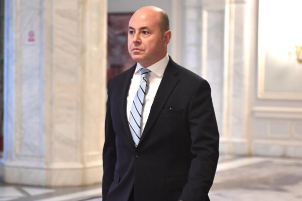 PNL ar putea incheia o alianta cu partidele de dreapta Muraru Exista o dorinta de a nu mai continua