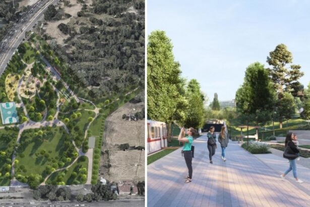 Parcul Grozavesti din Bucuresti se modernizeaza Licitatie de peste 16 milioane de lei pentru