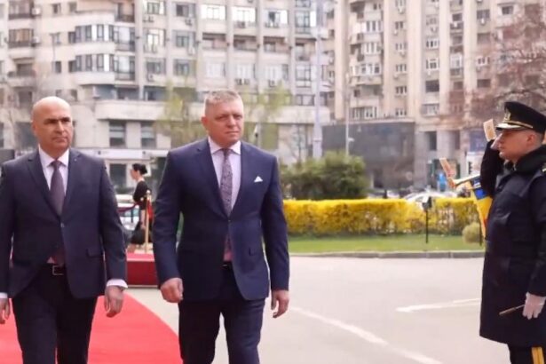 Premierul Robert Fico cere ajutor Romaniei pentru a obtine un loc in Consiliul de Securitate al ONU