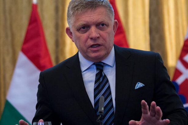 Premierul slovac Robert Fico va ajunge vineri in Romania Liderul populist va vizita Bucurestiul si Oradea