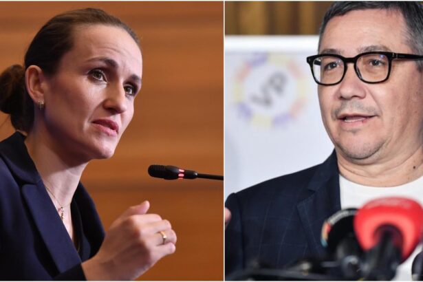 Purtatorul de cuvant al MAE Irina Ponta nu indeplinea conditiile necesare pentru a fi in avionul cu