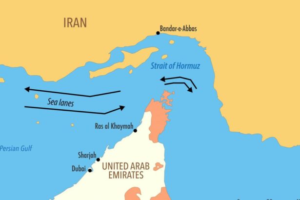 Radu Miruta anunta ca Romania ar putea trimite militari in Stramtoarea Ormuz