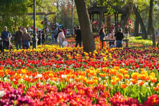 Se deschide Targul de Paste 2026 in Craiova Imagini de poveste cu Parcul Nicolae Romanescu