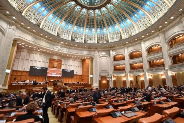 Senat copiii cu nevoi speciale vor primi masa calda sau pachet alimentar in loc de alocatia de