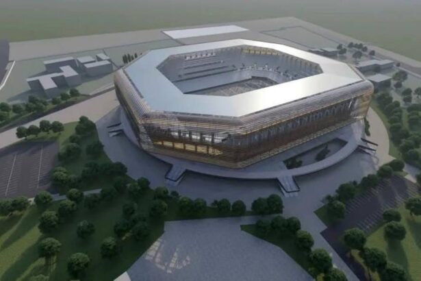Stadionul Dan Paltinisan din Timisoara are un constructor Simonis Vom beneficia de cel mai modern
