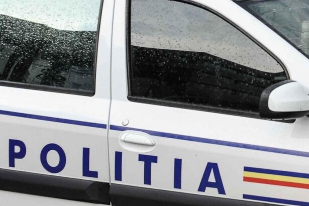 Un barbat de 61 de ani retinut de politie pentru 24 de ore dupa ce ar fi cauzat distrugerea a mai multor