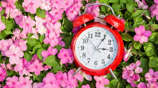 interactiune sociala 14