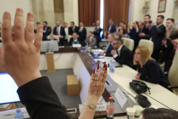 majoritate neasteptata in senat usr aur si pace au votat in comisie pentru modificarea diurne