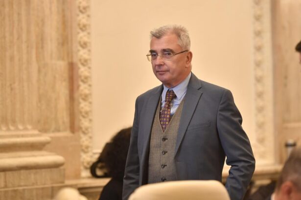 AUR nu va sprijini un guvern minoritar Petrisor Peiu Daca parlamentul va vota pentru demitere