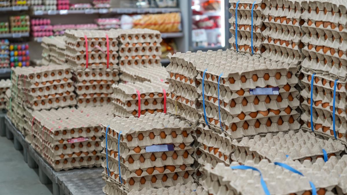 Alerta sanitara inainte de Paste 15 milioane de oua contaminate cu salmonela in Vaslui