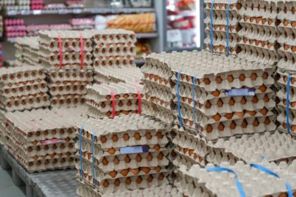Alerte sanitara inainte de Paste 15 milioane de oua contaminate cu Salmonella la Vaslui
