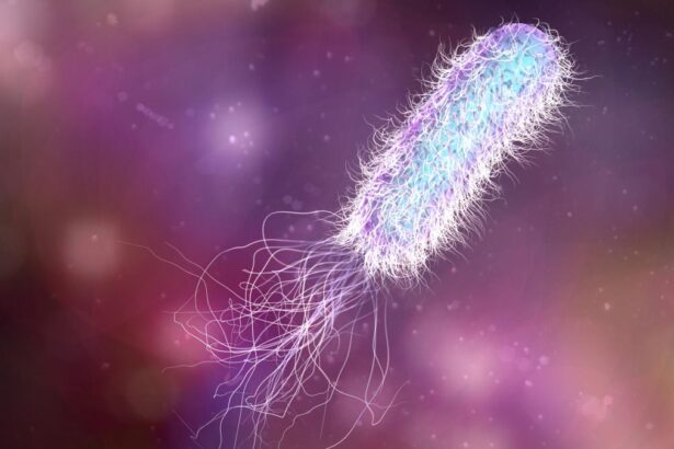 Bacterie Pseudomonas aeruginosa identificata la Spitalul de Pediatrie Ploiesti Ce masuri au fost