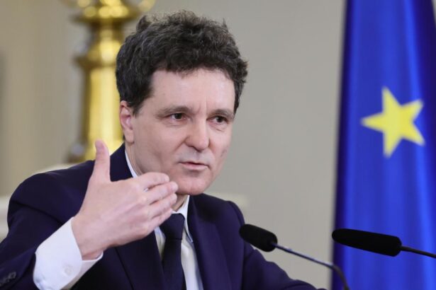 Ce declar Nicuor Dan cu privire la conducerea parchetelor Nu a fost un schimb politic cu PSD Despre