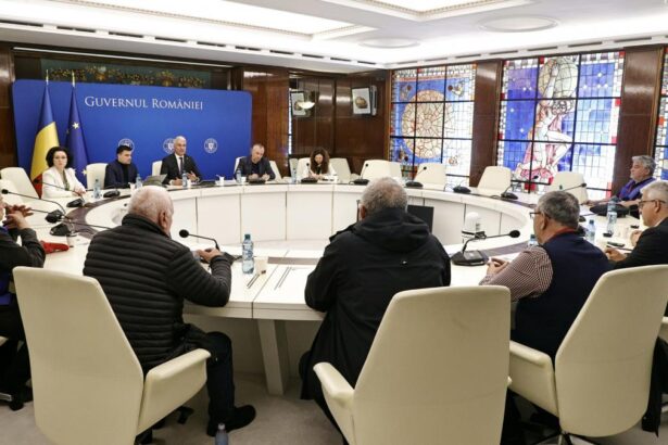 Consultari la Guvern cu sindicatele despre noua lege a salarizarii si pensiile militare Veniturile in