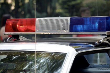 Doi barbati din Caracal au fost retinuti dupa ce au omorat cu intentie un caine