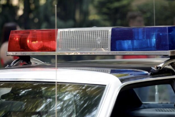 Doi barbati din Caracal au fost retinuti dupa ce au omorat cu intentie un caine