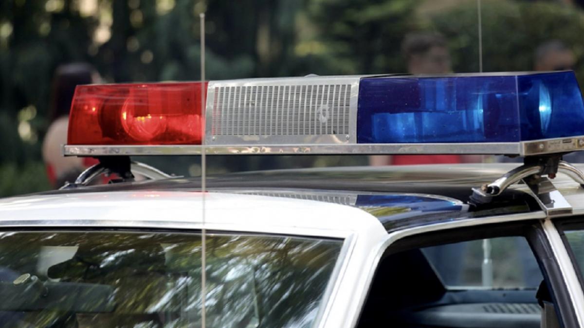 Doi barbati din Caracal au fost retinuti dupa ce au omorat cu intentie un caine