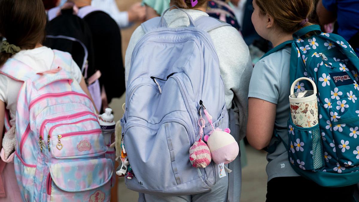 Elevii isi incep vacanta vineri si vor reveni la scoala pe 15 aprilie