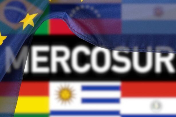 Guvernul a aprobat memorandumul pentru semnarea Acordului UE Mercosur Pasul 2 ratificarea in