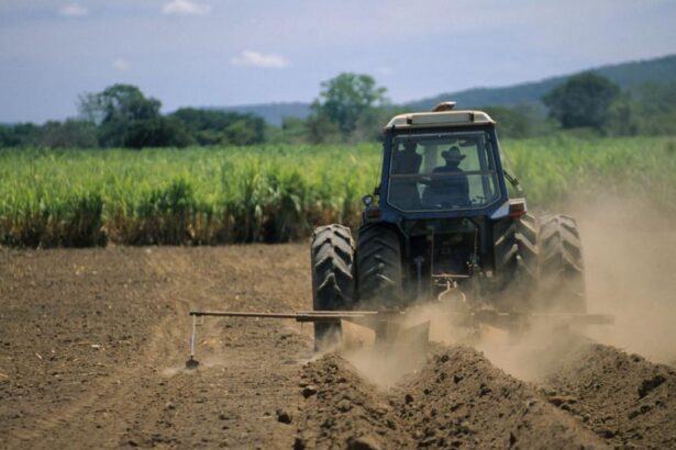 Guvernul a hotarat ca salariul minim din sectorul agricol sa fie corelat cu salariul minim de baz