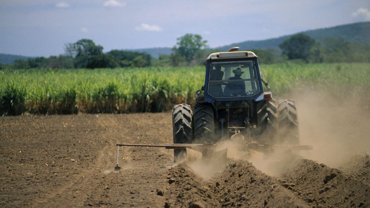 Guvernul a hotarat ca salariul minim din sectorul agricol sa fie corelat cu salariul minim de baz