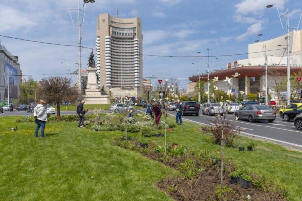 Imagini cu spatiul verde de la Kilometrul 0 din Bucuresti dupa ce Primaria a plantat 200 de flori