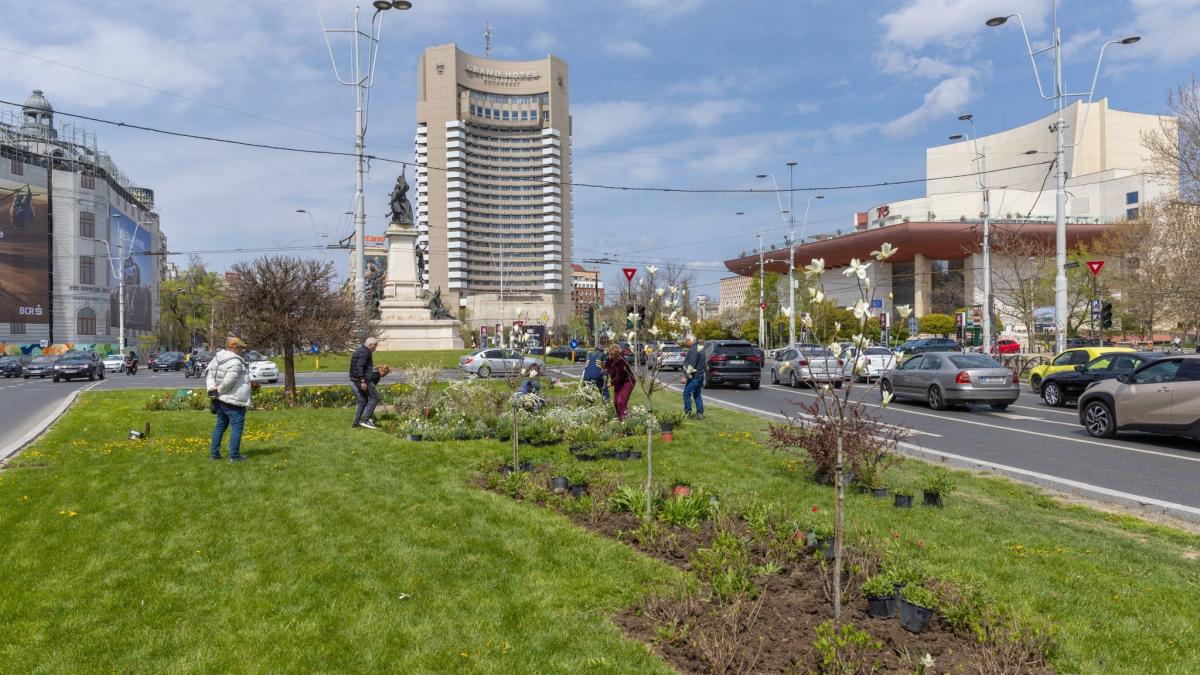 Imagini cu spatiul verde de la Kilometrul 0 din Bucuresti dupa ce Primaria a plantat 200 de flori