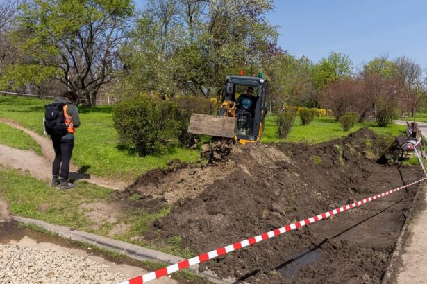 In Parcul Tineretului va fi amenajata prima gradina de ploaie din Bucuresti Ce inseamna si cum va